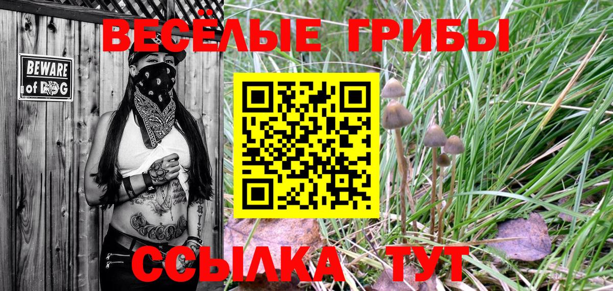 Псилоцибиновые грибы Cubensis Гусь-Хрустальный
