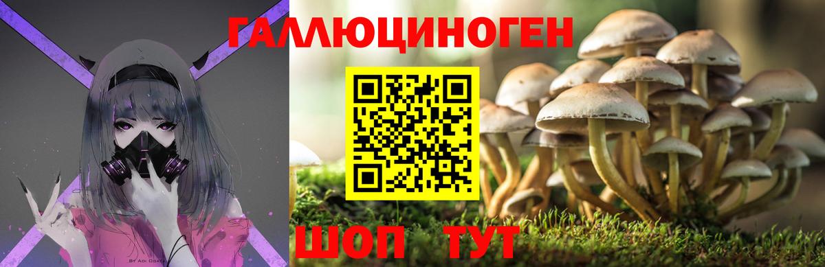 Галлюциногенные грибы GOLDEN TEACHER  Галлюциногенные грибы прущие грибы  Гусь-Хрустальный  Вход с VPN 